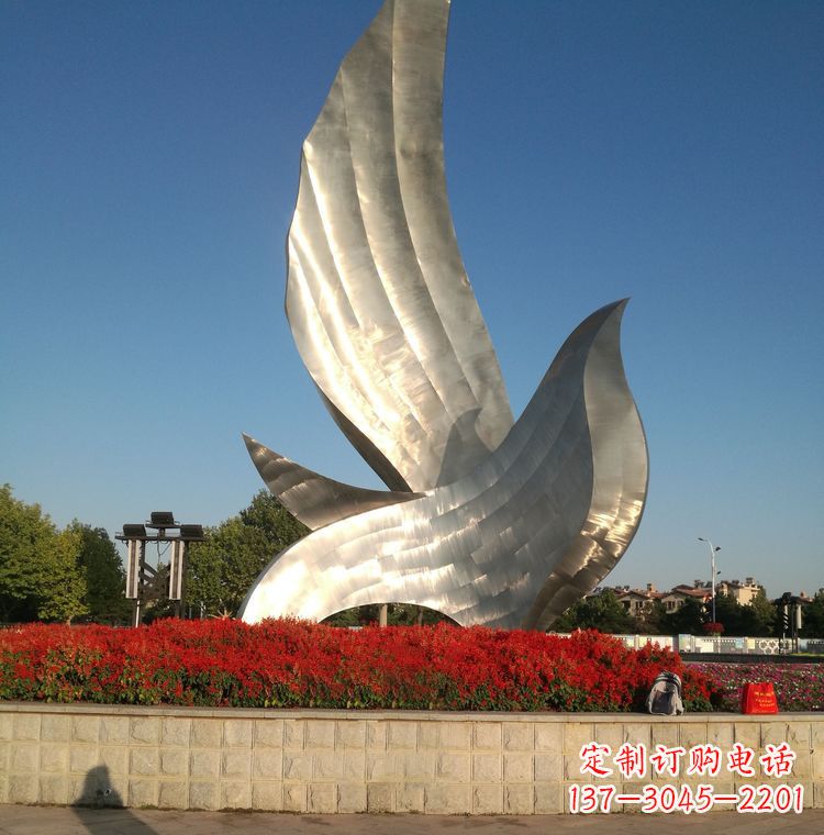 烟台“鸽子之恋”——让爱飞翔