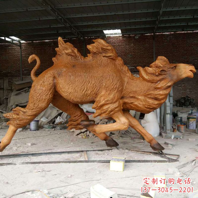 烟台活力四射的骆驼