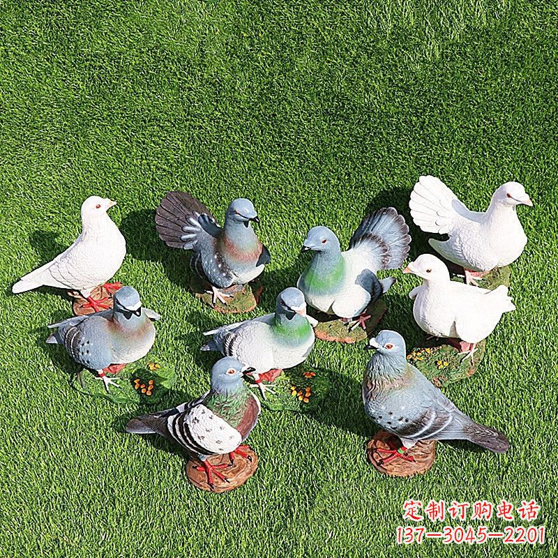烟台和平鸽毕加索激发的美好灵感