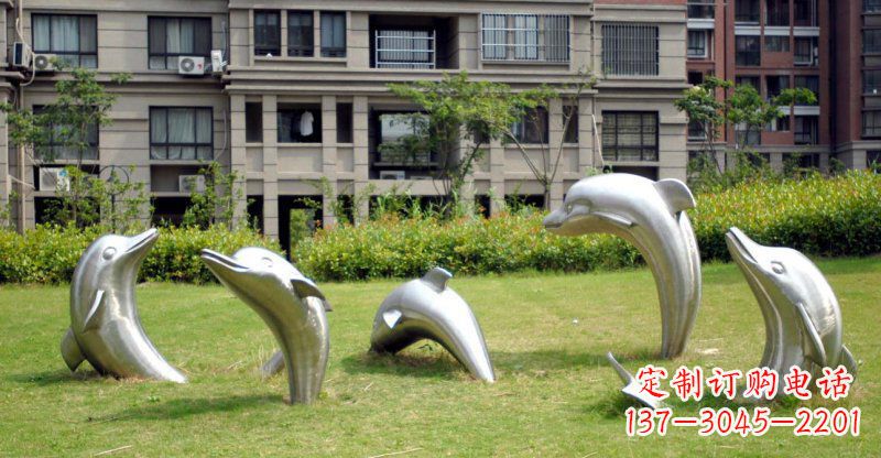 烟台海豚的浪漫