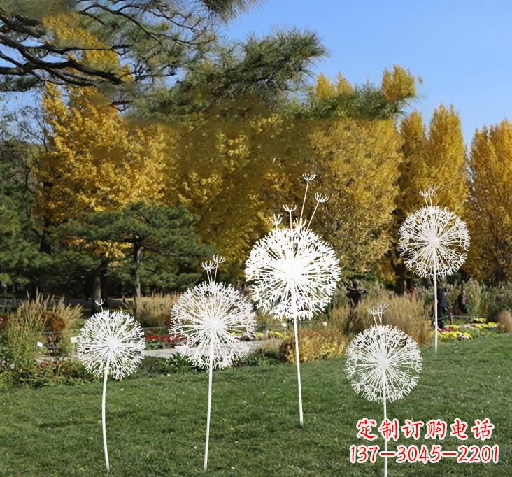 烟台不锈钢蒲公英景观雕塑艺术与美的完美结合