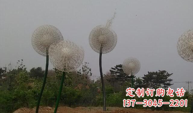 烟台蒲公英的绚丽多彩