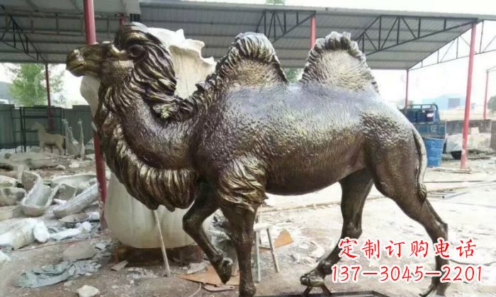 烟台铜雕骆驼,精致优雅