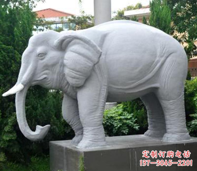 烟台大象大理石石雕