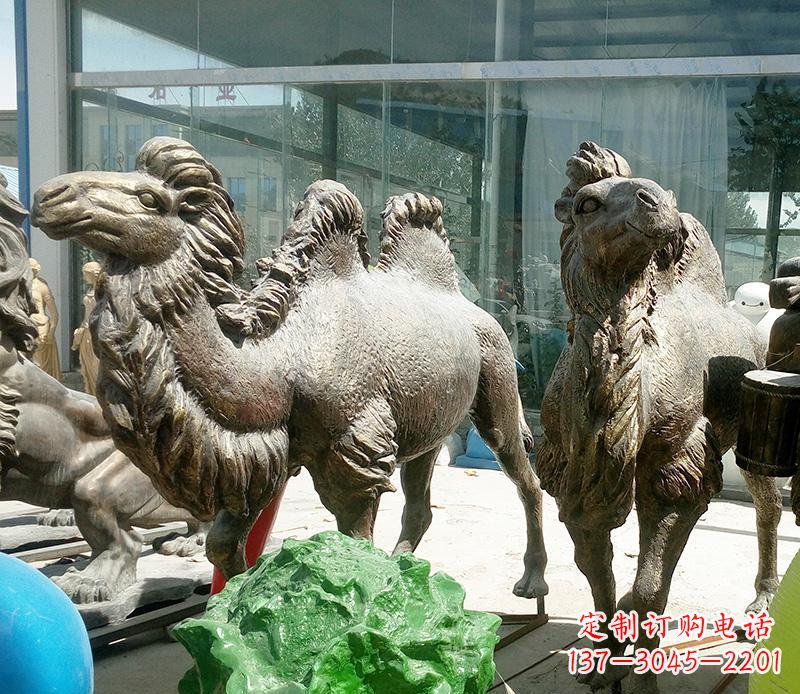 烟台公园骆驼动物铜雕 (2)