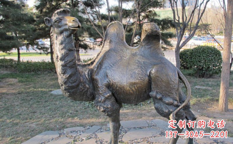 烟台铜骆驼雕塑——浓缩自然美丽