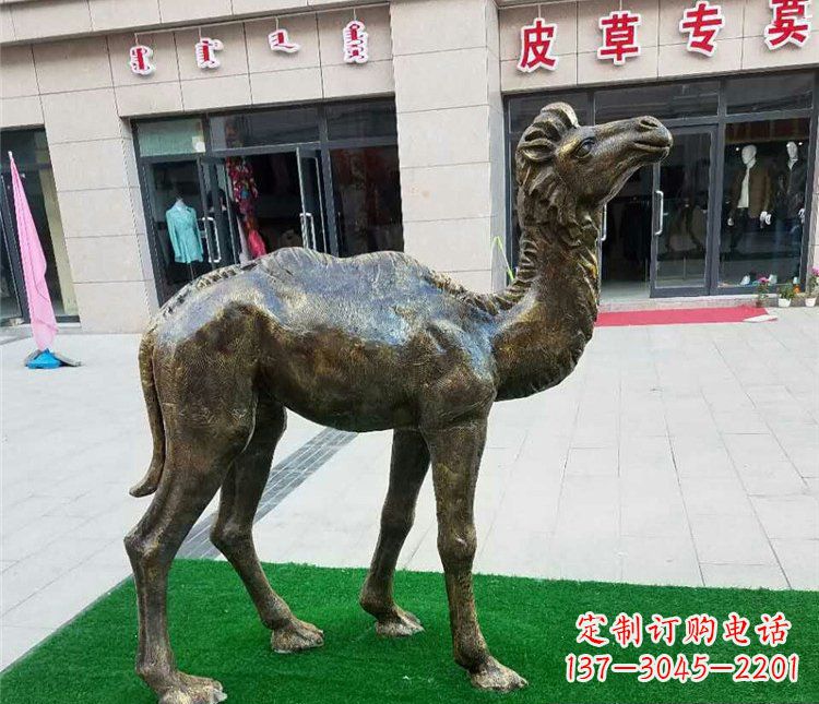 烟台公园小骆驼动物铜雕 (2)