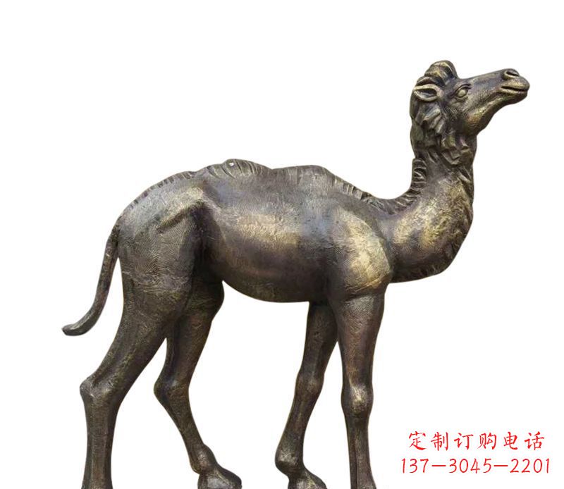 烟台公园小骆驼铜雕