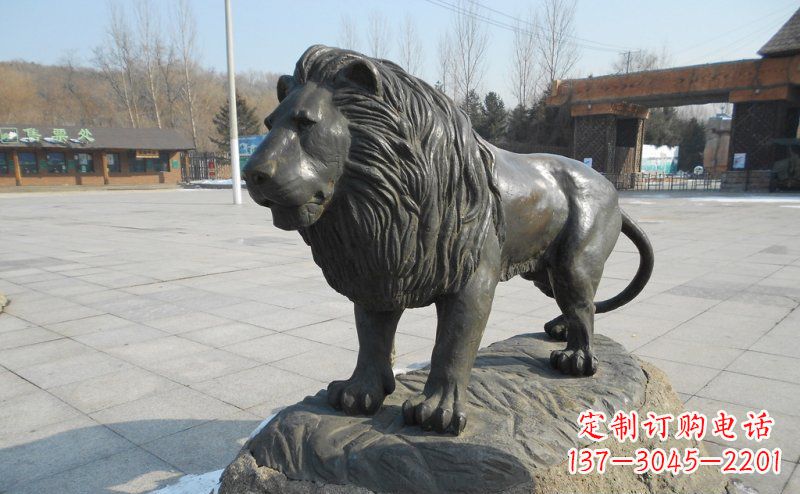 烟台广场非洲狮动物铜雕