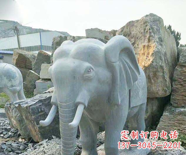 烟台广场景观大理石大象石雕 (2)