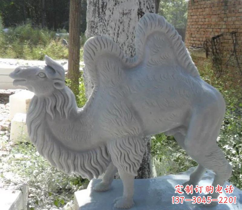 烟台汉白玉动物骆驼石雕