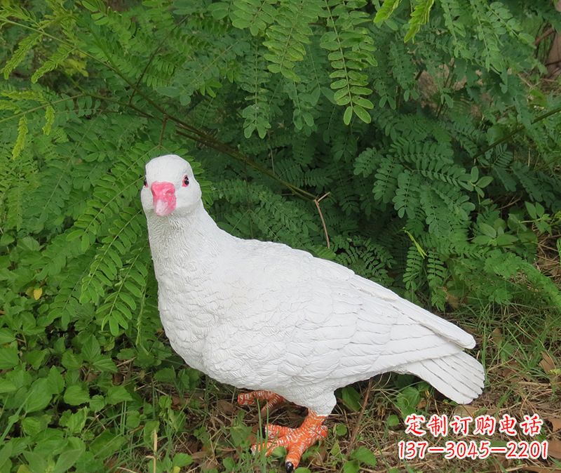 烟台灵鸽雕塑鸽子呢