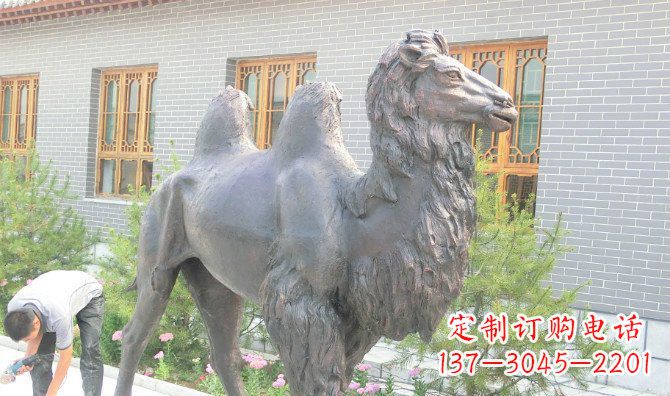 烟台精美的骆驼铜雕,提升您的公园气质