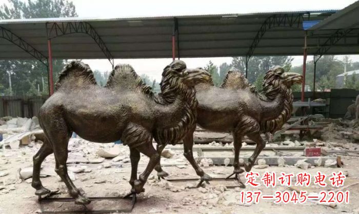 烟台典雅优美的骆驼铜雕