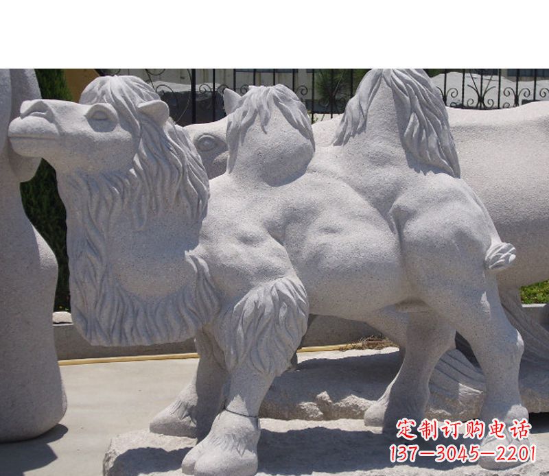 烟台艺术珍品—骆驼石雕