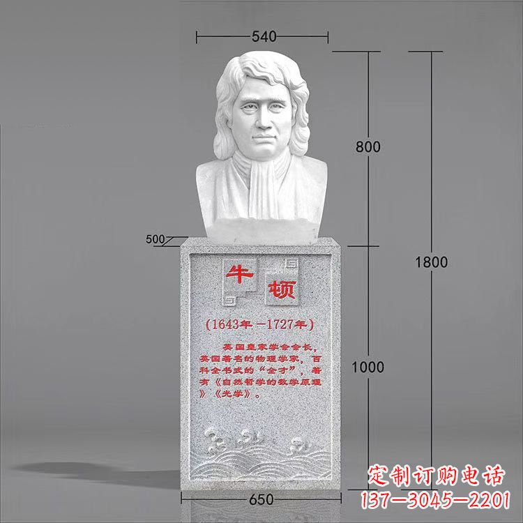 烟台艺术精灵:牛顿汉白玉石头像雕塑
