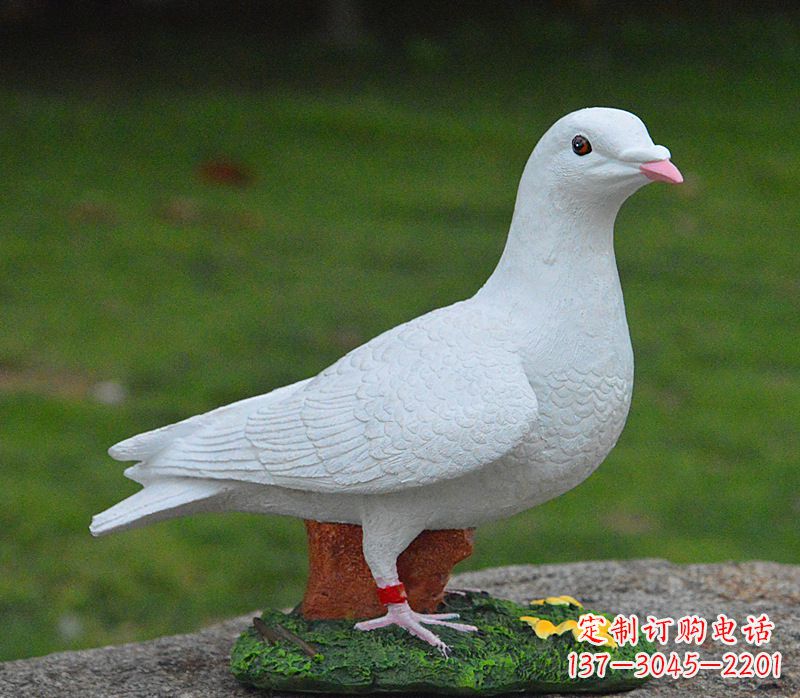 烟台美丽的和平鸽雕塑,传递暖暖的正能量