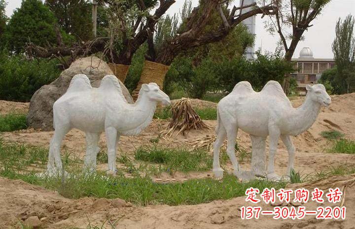 烟台欣赏大自然,石雕骆驼公园动物雕塑邀请您