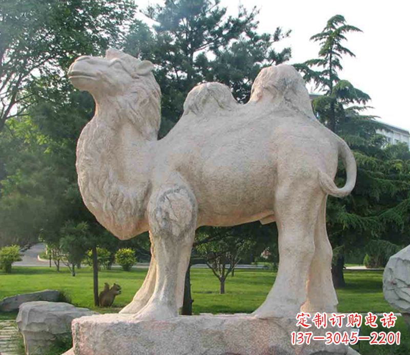 烟台石头骆驼雕塑