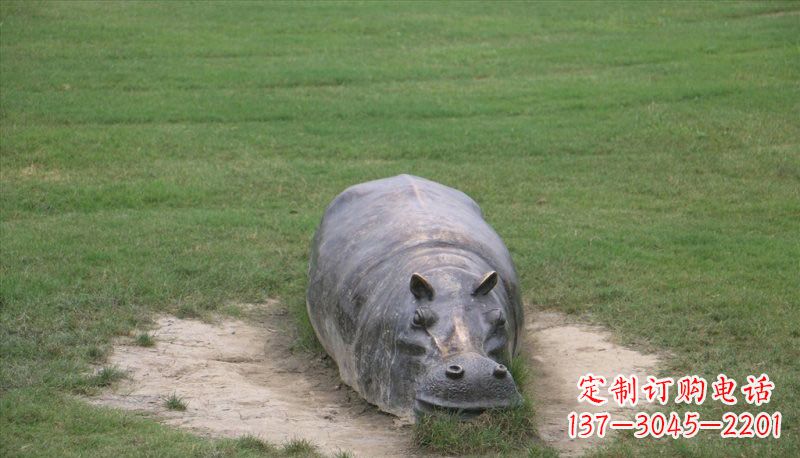 烟台铜雕趴着的河马