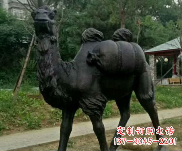 烟台驮行李的骆驼铜雕
