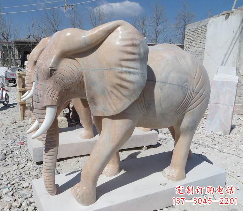 烟台晚霞红卷鼻大象