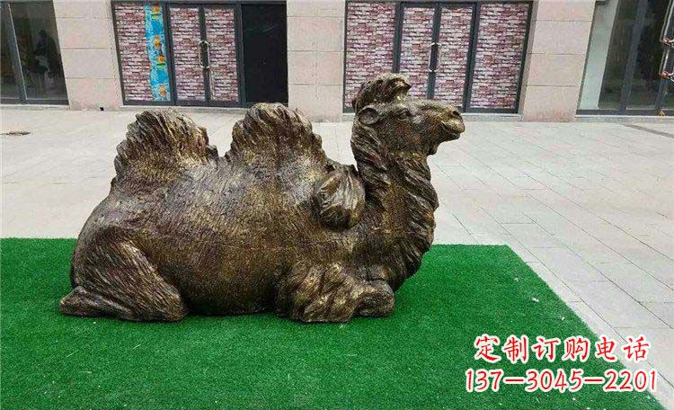 烟台卧着的骆驼动物铜雕