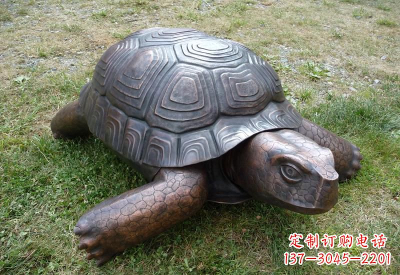 烟台乌龟铜雕222