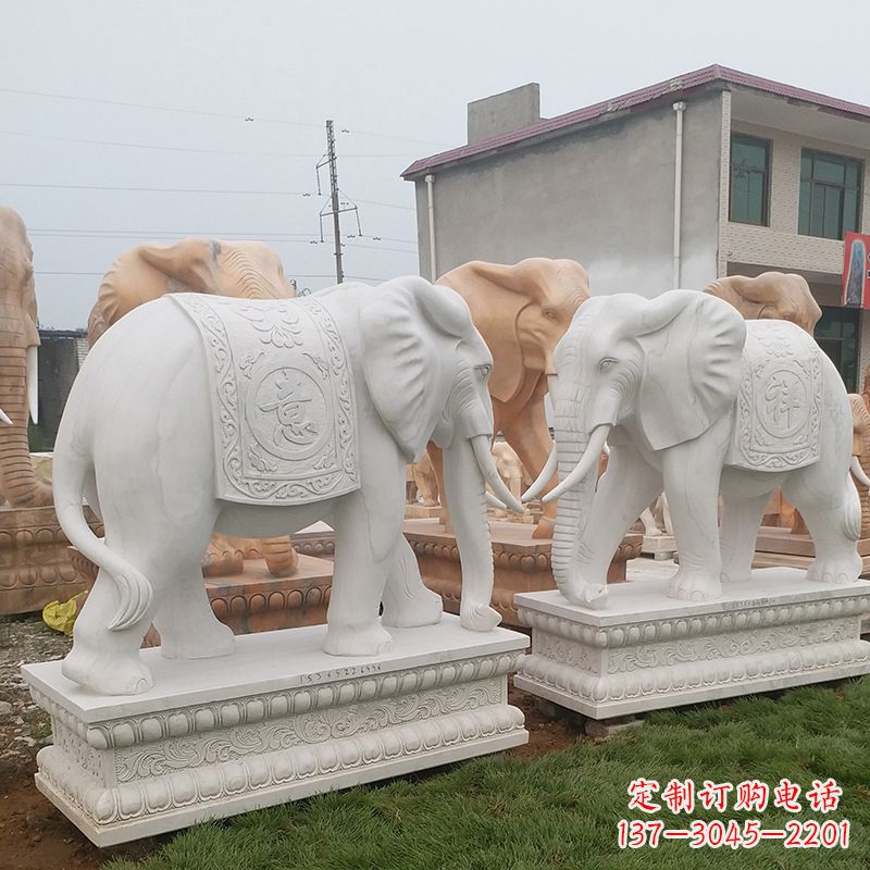 烟台学校石雕大象